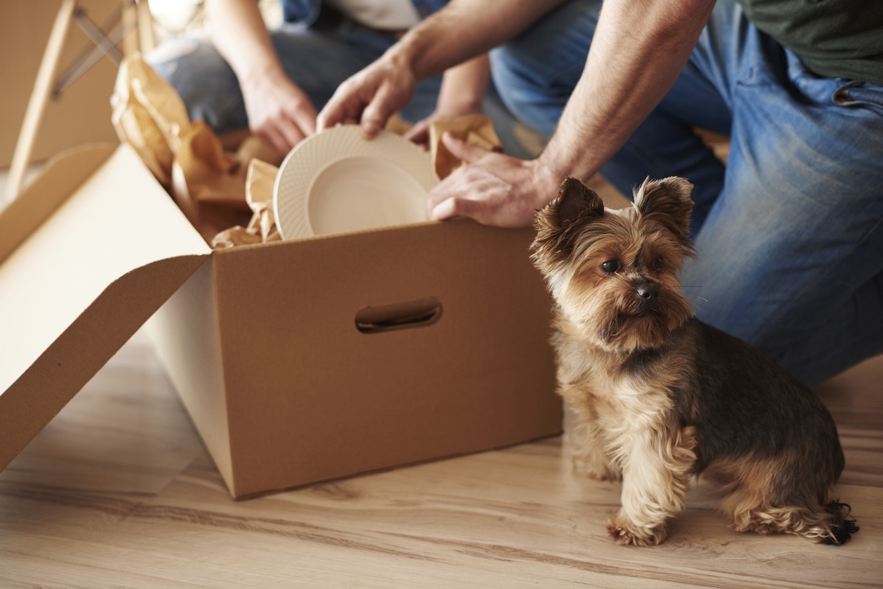 Purge Before You Pack: 8 Ways to Lighten Your Moving Load